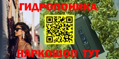 ГАЛЛЮЦИНОГЕННЫЕ ГРИБЫ Кингисепп