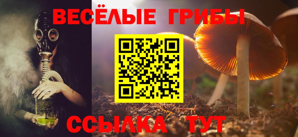 Псилоцибиновые грибы мицелий Красноярск