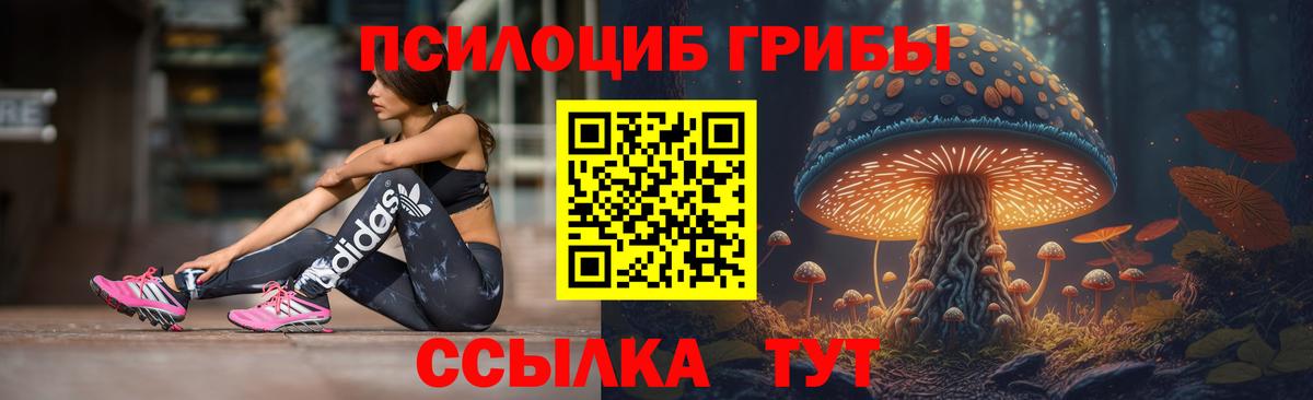 Красноярск  Галлюциногенные грибы MAGIC MUSHROOMS  Псилоцибиновые грибы ЛСД  Вход с VPN 